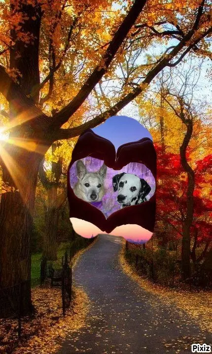 Condolence image of Tanja mit Timmy im Herzen