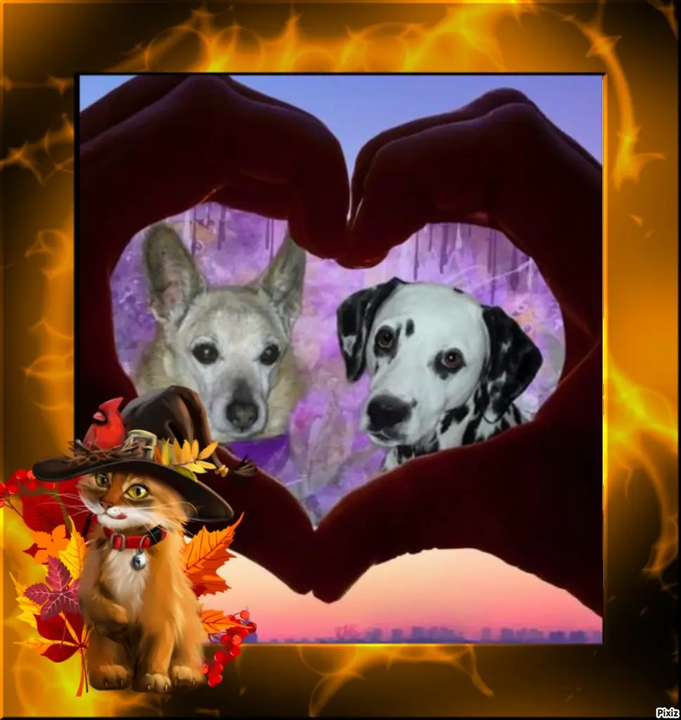 Condolence image of Tanja mit Timmy im Herzen 