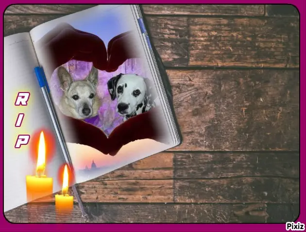 Condolence image of Tanja mit Timmy im Herzen 