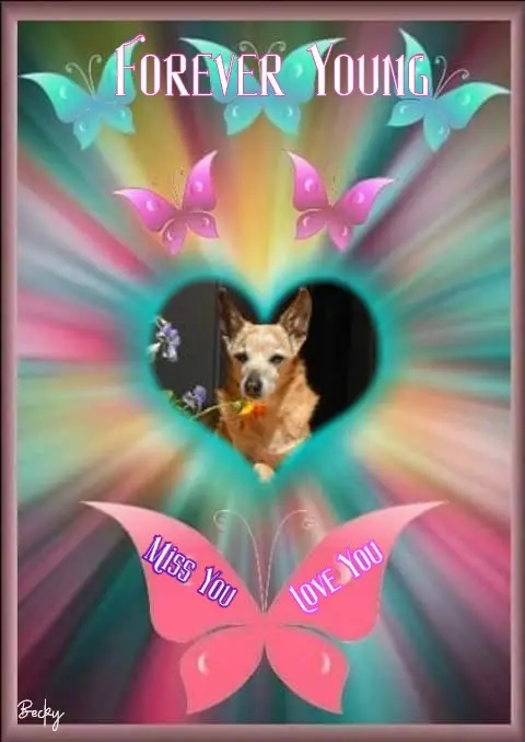 Condolence image of 5.Sternchen❤Gedenktag❤❤❤❤❤