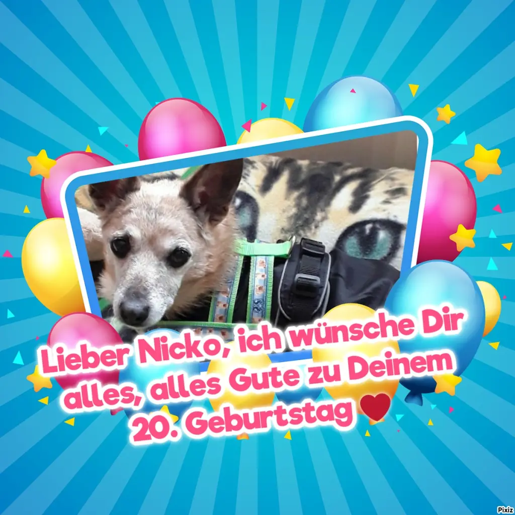 Condolence image of Tanja mit Timmy im Herzen
