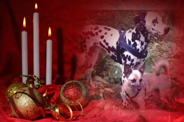 Condolence image of 3.Advent❤️❤️❤️Sonntag❤️