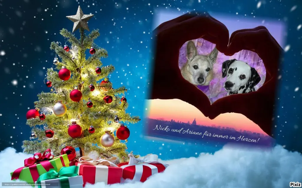 Condolence image of Tanja mit Timmy im Herzen