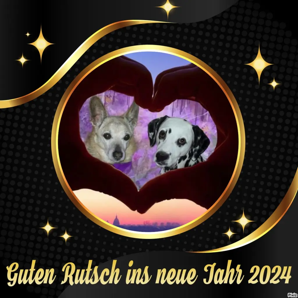 Condolence image of Tanja mit Timmy im Herzen