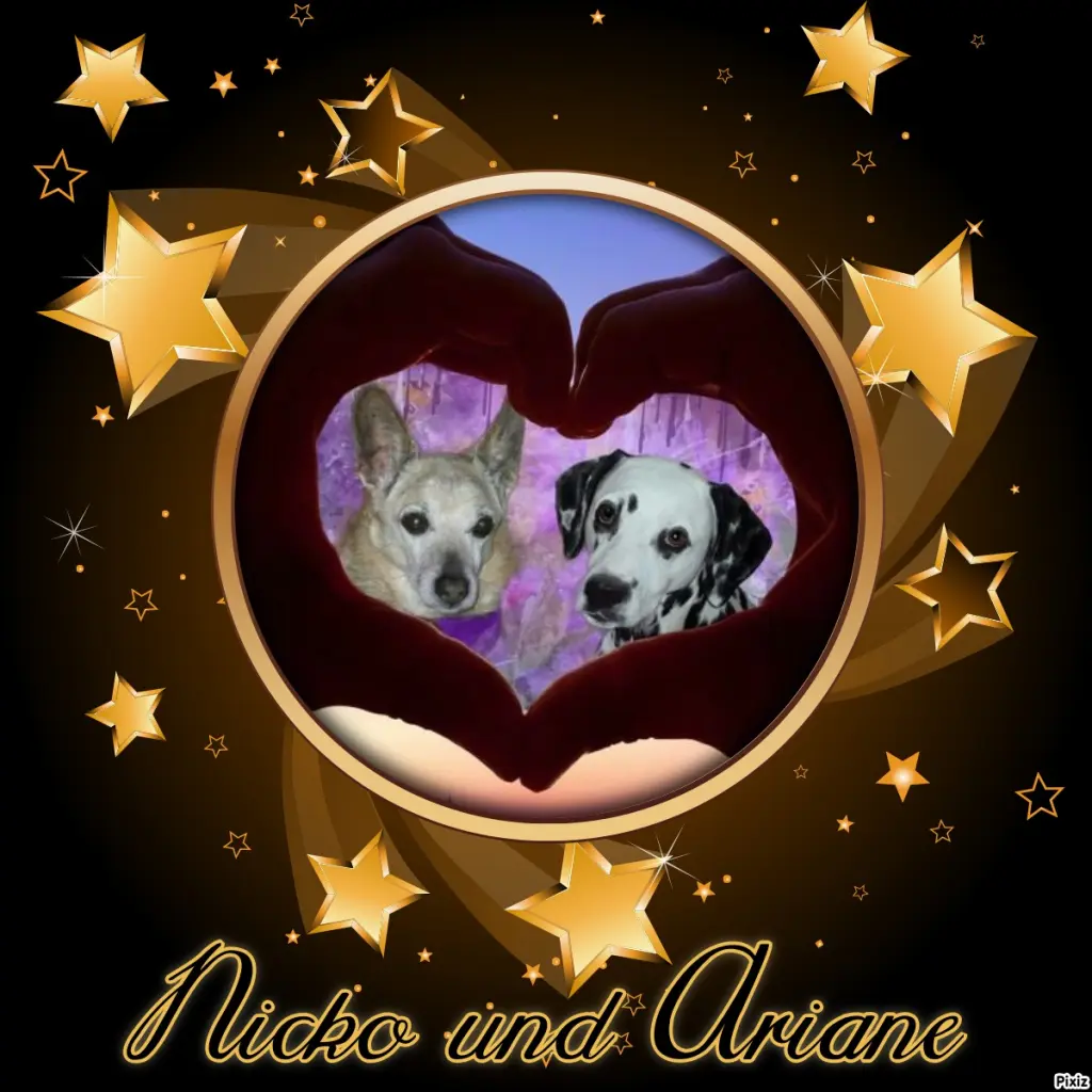 Condolence image of Tanja mit Timmy im Herzen