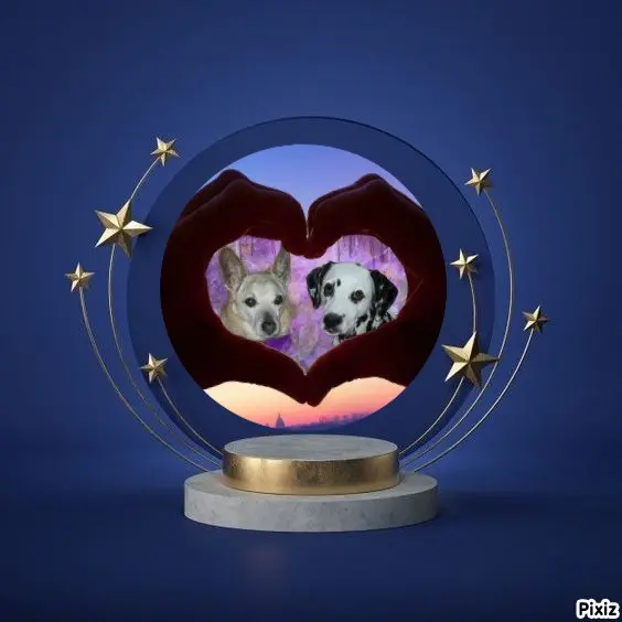 Condolence image of Tanja mit Timmy im Herzen