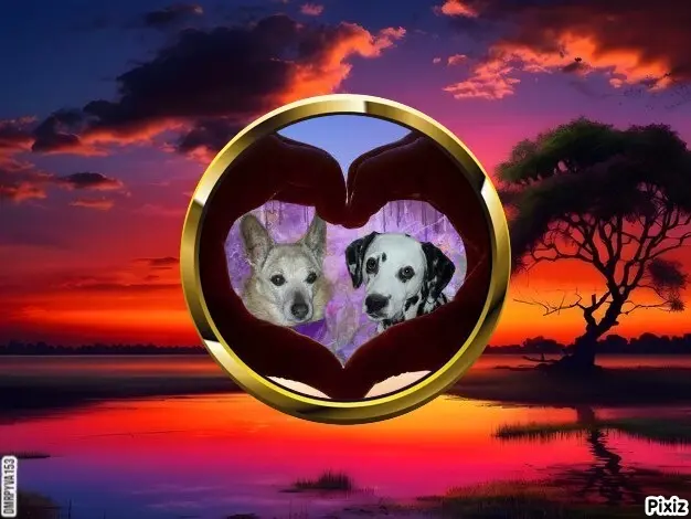 Condolence image of Tanja mit Timmy im Herzen 