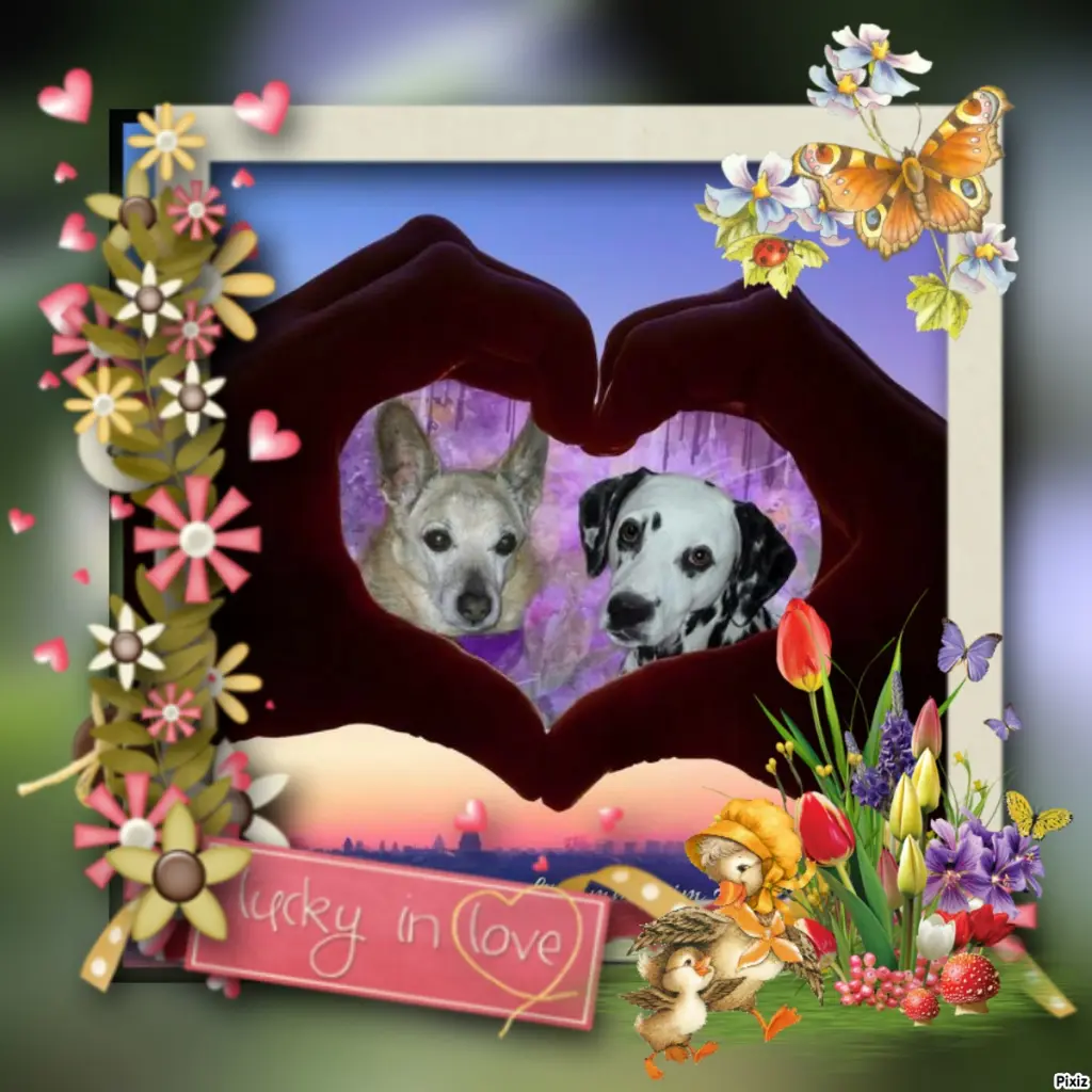 Condolence image of Tanja mit Timmy im Herzen 