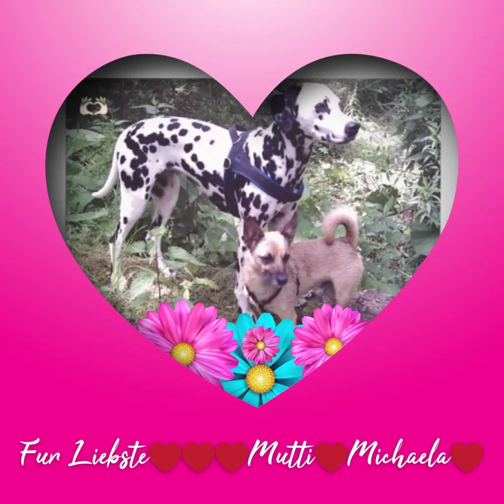 Condolence image of Fur Unsere Liebste❤️❤️❤️❤️❤️❤️❤️Mutti❤️Michaela❤️