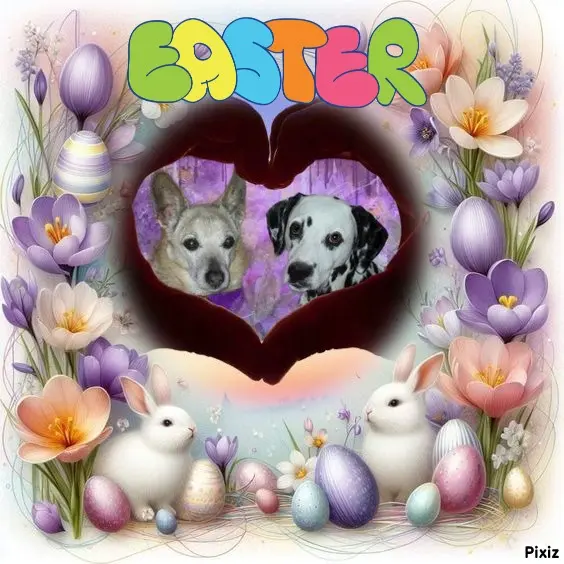 Condolence image of Tanja mit Timmy im Herzen