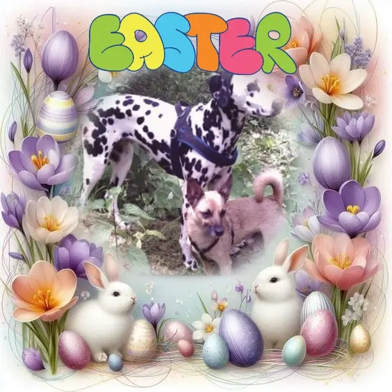 Condolence image of Frohe❤️❤️❤️Ostern❤️