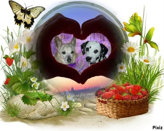 Condolence image of Tanja mit Timmy im Herzen
