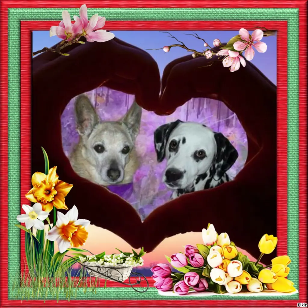 Condolence image of Tanja mit Timmy im Herzen