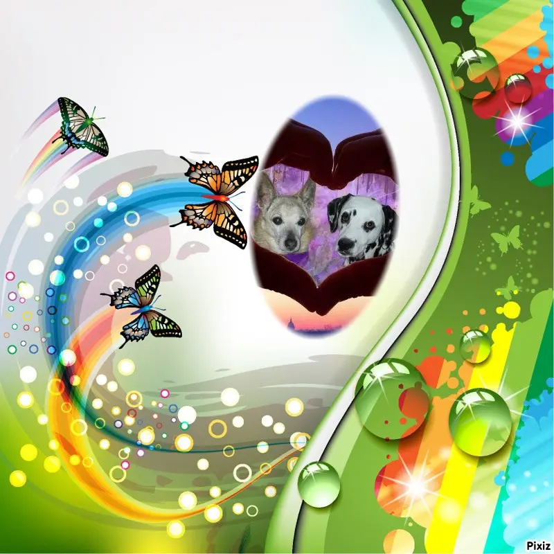 Condolence image of Tanja mit Timmy im Herzen