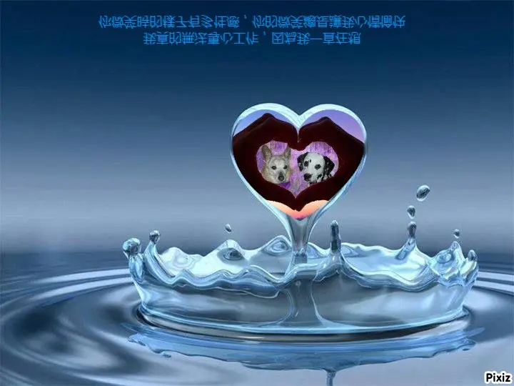 Condolence image of Tanja mit Timmy im Herzen