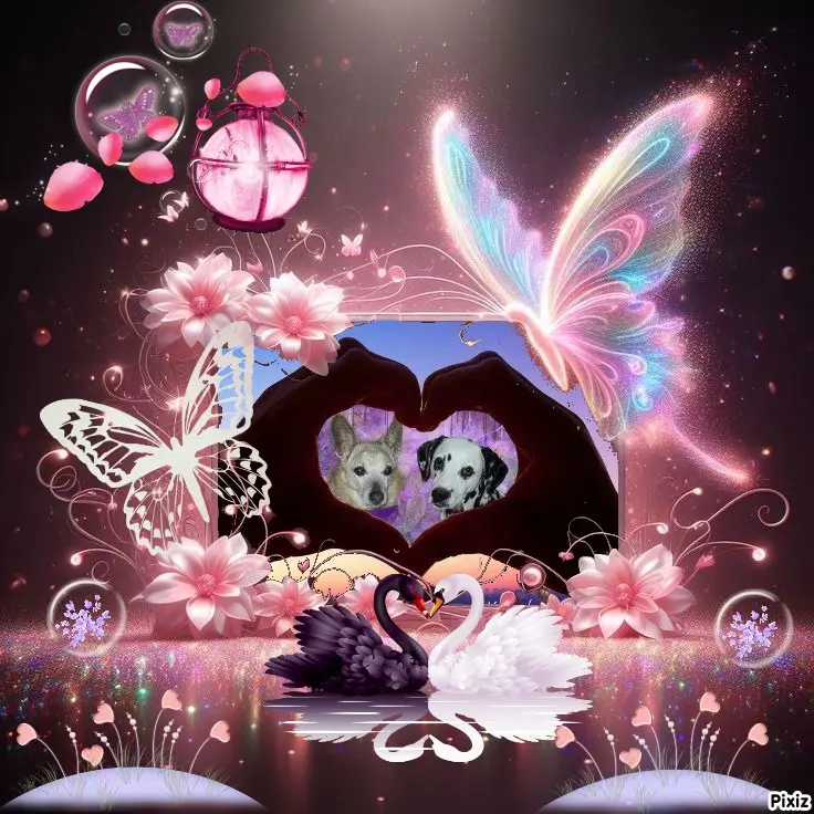 Condolence image of Tanja mit Timmy im Herzen
