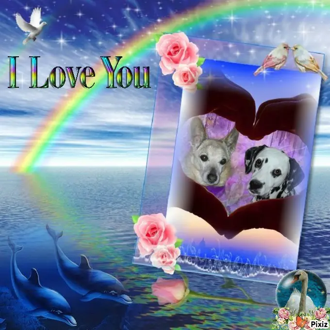 Condolence image of Tanja mit Timmy im Herzen