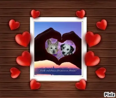 Condolence image of Tanja mit Timmy im Herzen