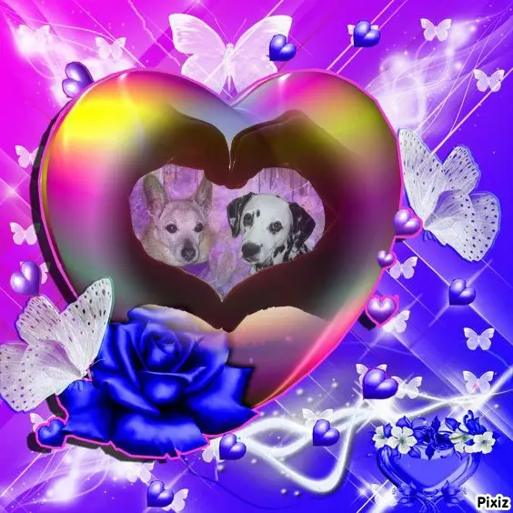 Condolence image of Tanja mit Timmy im Herzen