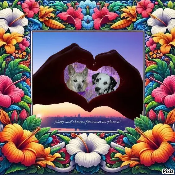 Condolence image of Tanja mit Timmy im Herzen