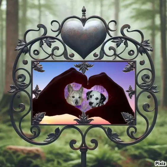Condolence image of Tanja mit Timmy im Herzen 