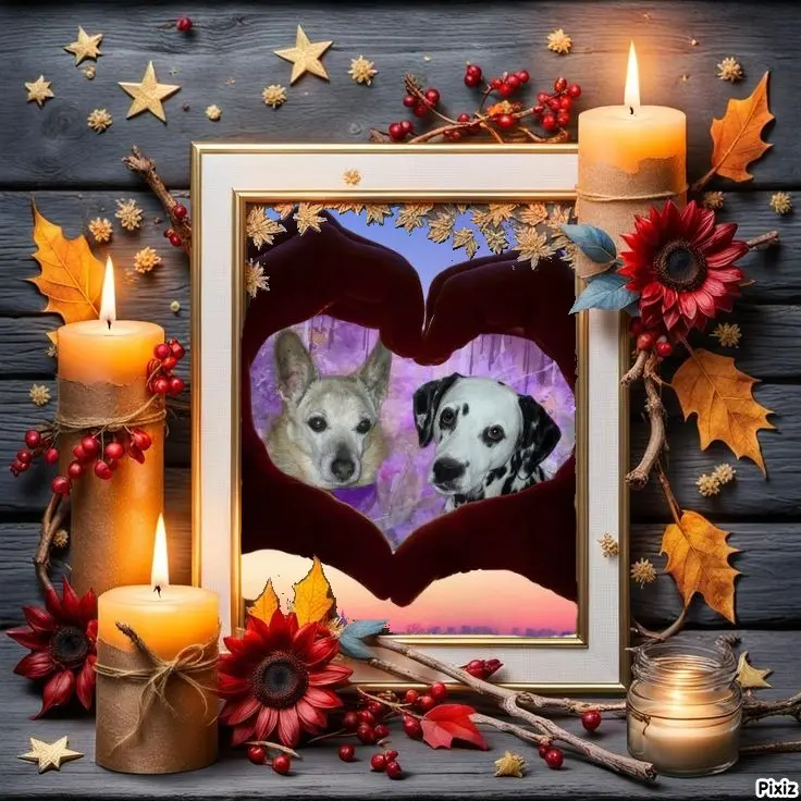 Condolence image of Tanja mit Timmy im Herzen 