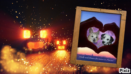 Condolence image of Tanja mit Timmy im Herzen 