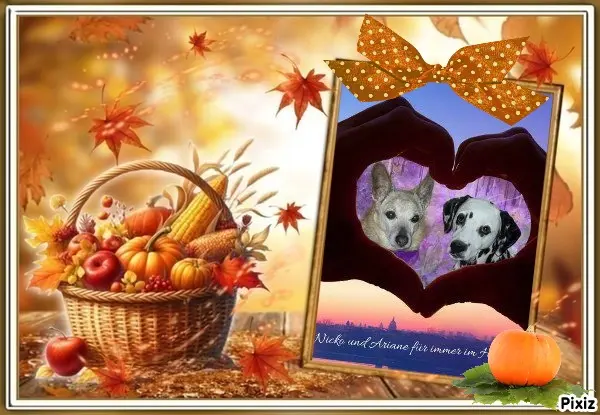 Condolence image of Tanja mit Timmy im Herzen