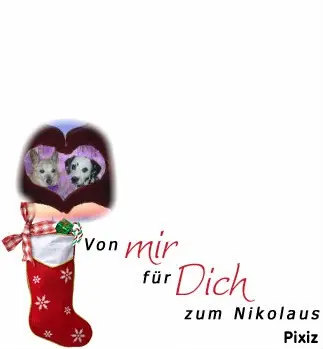 Condolence image of Tanja mit Timmy im Herzen