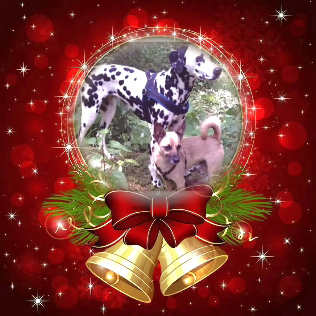 Condolence image of Frohe Weihnachten❤️⭐️❤️
