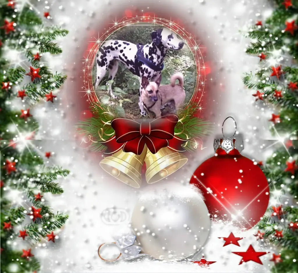 Condolence image of Frohe Weihnachten❤️⭐️❤️
