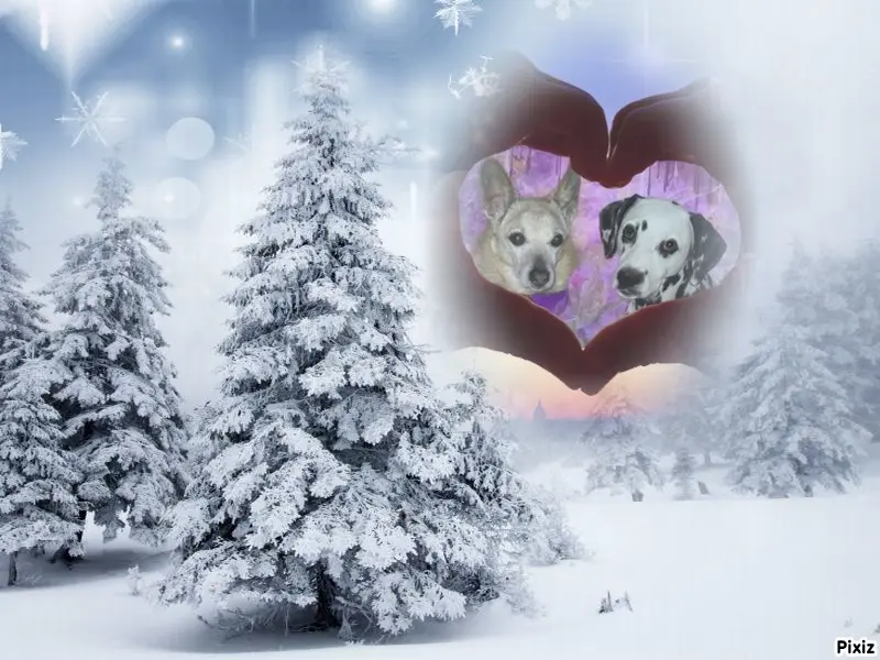 Condolence image of Tanja mit Timmy im Herzen 
