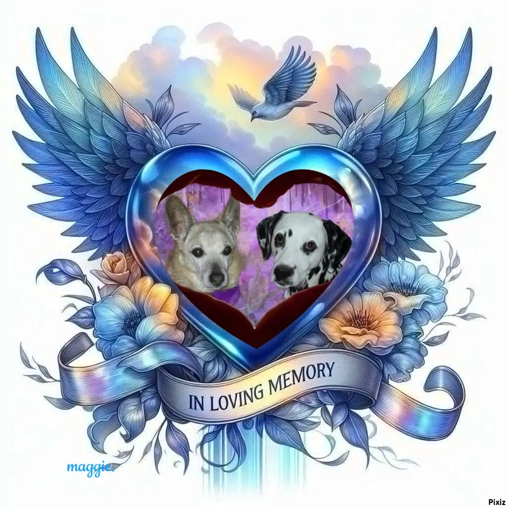 Condolence image of Tanja mit Timmy im Herzen