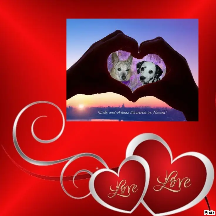Condolence image of Tanja mit Timmy im Herzen 