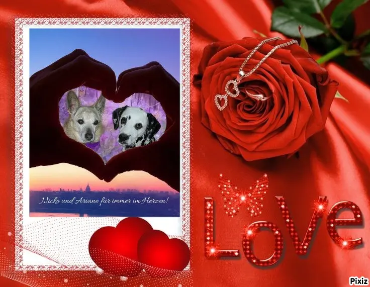 Condolence image of Tanja mit Timmy im Herzen 