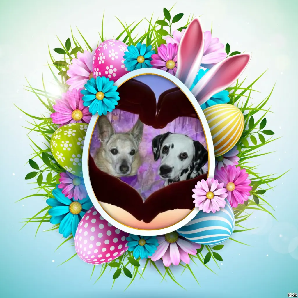 Condolence image of Tanja mit Timmy im Herzen 