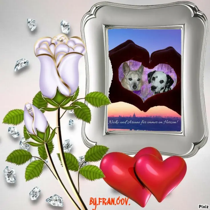 Condolence image of Tanja mit Timmy im Herzen