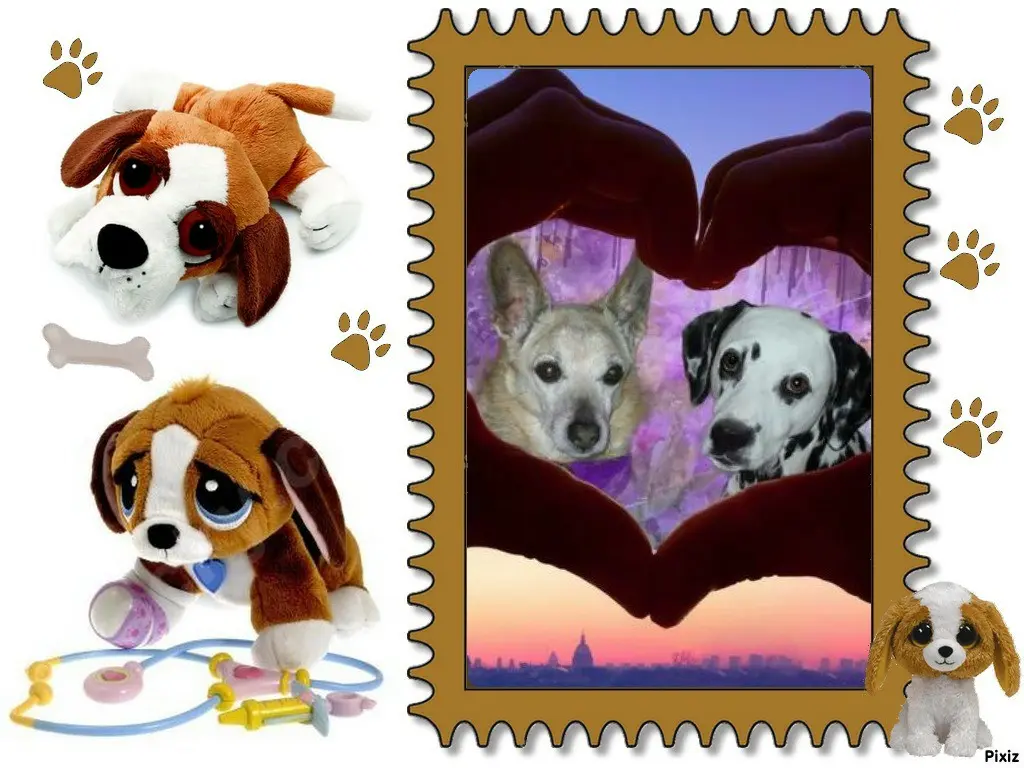 Condolence image of Tanja mit Timmy im Herzen