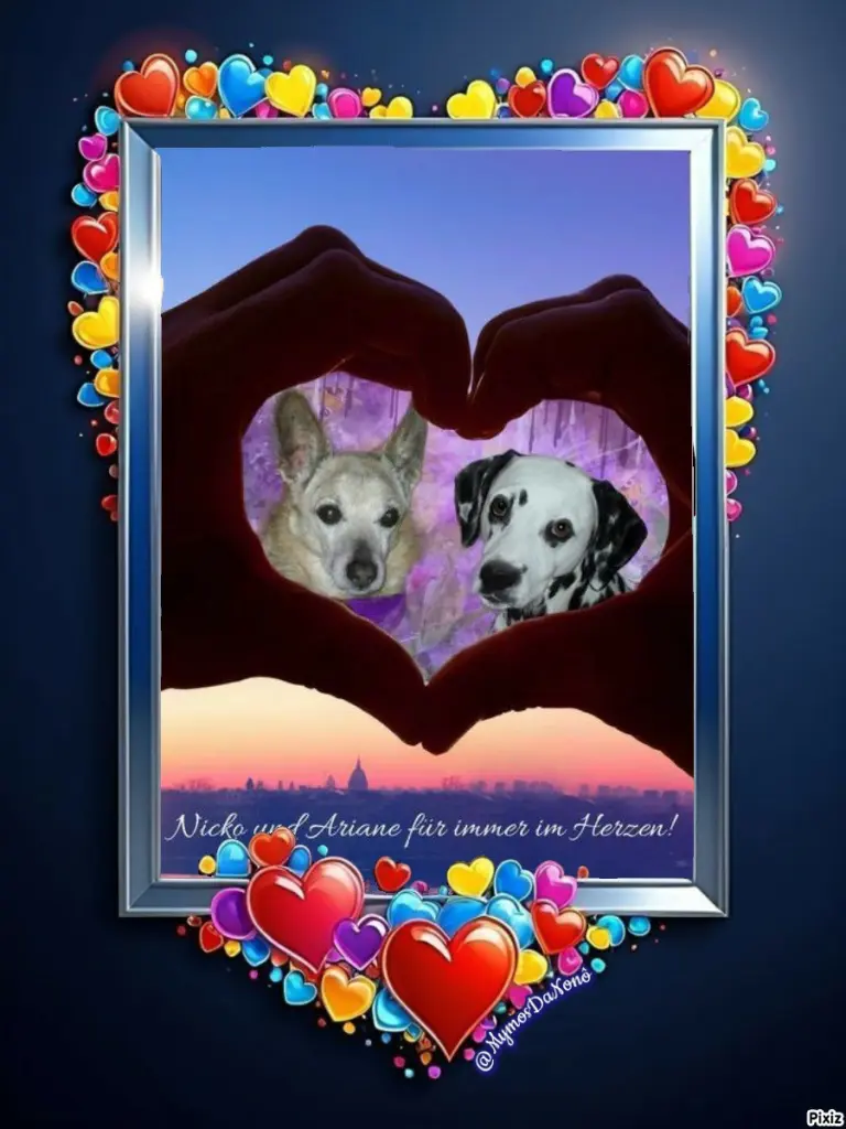 Condolence image of Tanja mit Timmy im Herzen