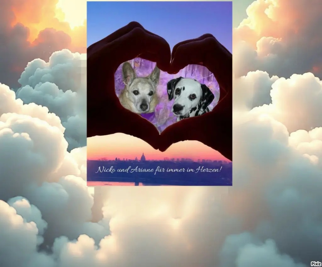 Condolence image of Tanja mit Timmy im Herzen