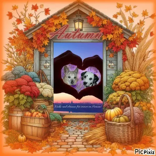 Condolence image of Tanja mit Timmy im ❤