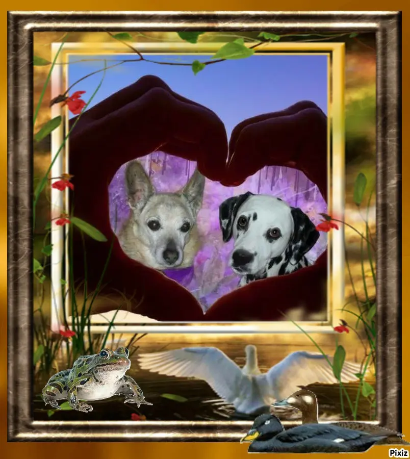 Condolence image of Tanja mit Timmy im ❤