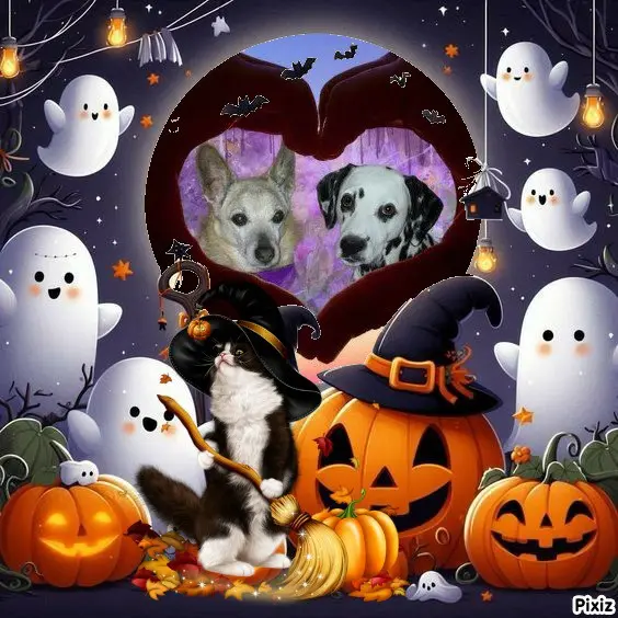 Condolence image of Tanja mit Timmy im 💕