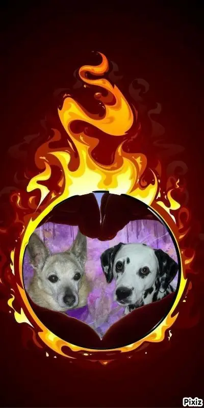 Condolence image of Tanja mit Timmy im 💘