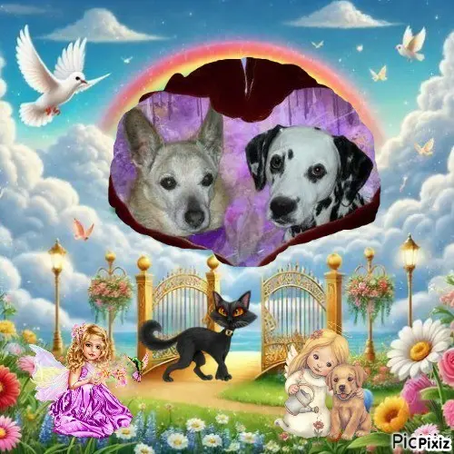 Condolence image of Tanja mit Timmy im 💘