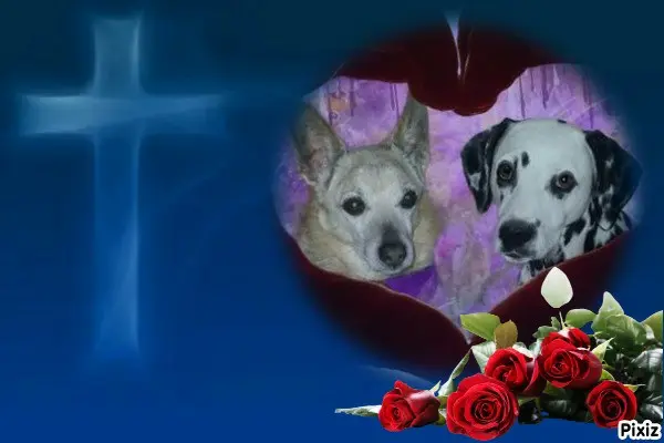 Condolence image of Tanja mit Timmy im 💘