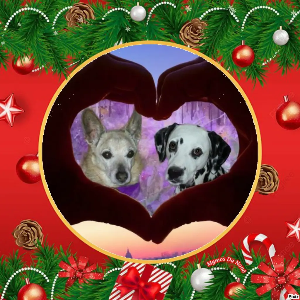 Condolence image of Tanja mit Timmy im 💘