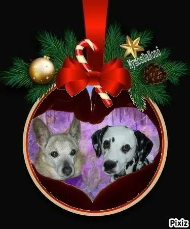 Condolence image of Tanja mit Timmy im 💘