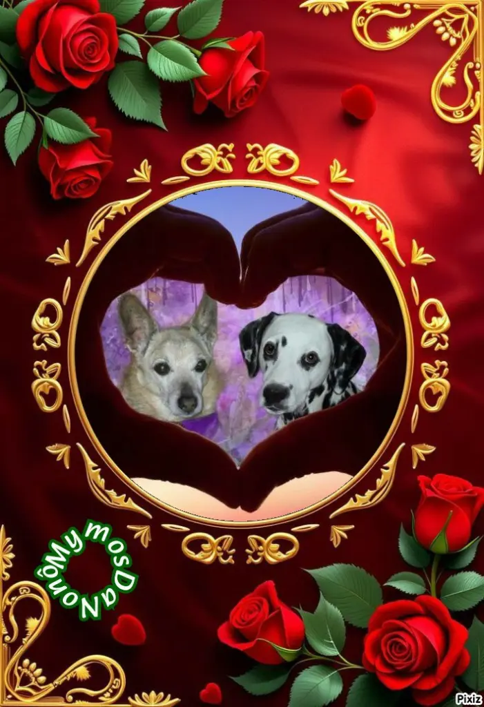 Condolence image of Tanja mit Timmy im 💘🐈🐾
