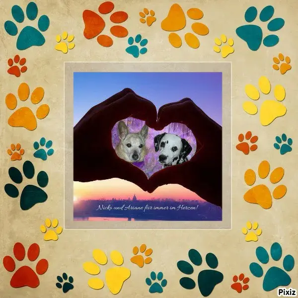 Condolence image of Tanja mit Timmy im 💘🐈🐾